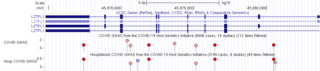 The COVID-19 GWAS track shows variants as lollipops,
with the colored head showing the p-value and the height of the stick showing effect size.